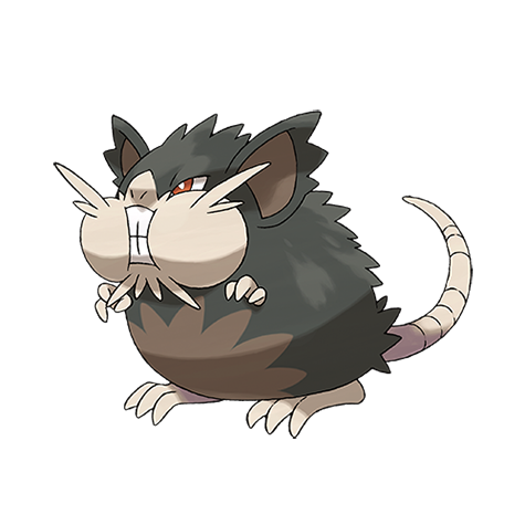 Raticate (Totem Alola)