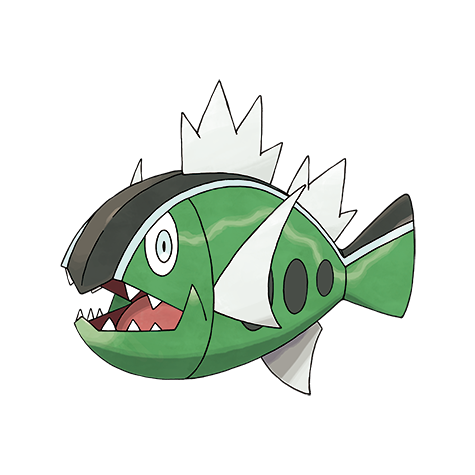 Basculin (White Striped)